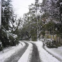 Снег в Сочи :: Булаткина Светлана 