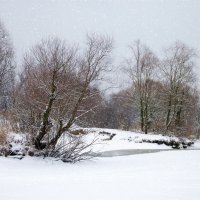 Седая зима :: Елена Пономарева