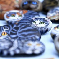 Рисунки на камнях.Кошки на ладошке. :: Геннадий Валеев