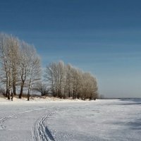 Следы на снегу :: Виктор Четошников