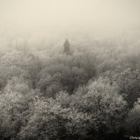 Александр Канана - Зима :: Фотоконкурс Epson