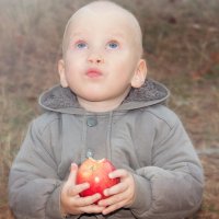 Осенние яблочки :: Татьяна Сушко