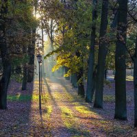Осенний рассвет в городском парке :: Алёнка Шапран