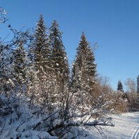 По зимней реке :: Владимир Звягин