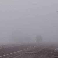 В тумане :: Елена Тренкеншу