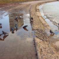 Потому что без воды ... :: Андрей Лукьянов