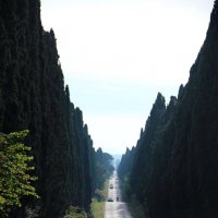 Toscana :: Юлия Склярова
