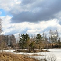 Островок :: Милешкин Владимир Алексеевич 