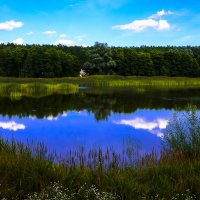 Рукотворное озеро. :: Валерий Гудков