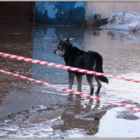 Туда не ходи!!)) :: Андрей Заломленков