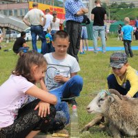 общение с овечкой :: Валентина Боровкова