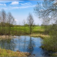 Весна :: Александр Лихачёв