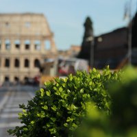 Roma :: Юлия Склярова