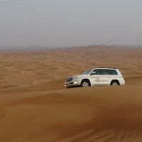 Пустыня сафари на джипах :: Виталий  Селиванов 