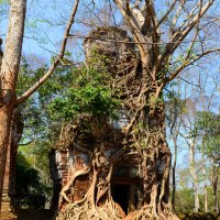 Развалины храма в джунглях Камбоджи :: Юрий Белоусов