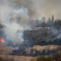 ... :: Ежи Сваровский