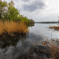 Весна на Днепре. :: Павел Тодоров