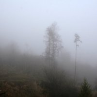 Белый туман похож на обман... :: Anna Gornostayeva
