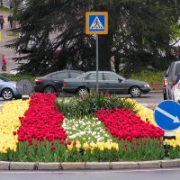 Севастопольская весна :: Елена Даньшина