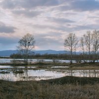 Вешние воды. Апрель :: Людмила Фил