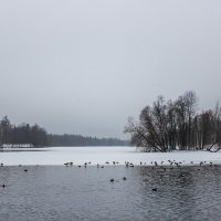 Зимний пейзаж :: Алёнка Шапран
