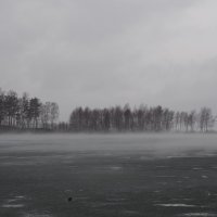 Ёжик в тумане :: Сергей Адигамов