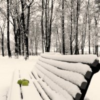 Яблоки на снегу.... :: Екатерина Селедцова