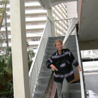 Флоридская лестница после урагана Вилма. :: Владимир Смольников