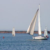 Весенние паруса :: Елена Даньшина