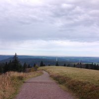 Schwarzwald :: Зоя Былинович 