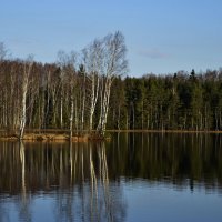 Весенний остров :: Юрий Цыплятников