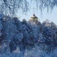 Светлым днём:) :: Владимир Звягин