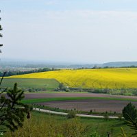 Весняне поле :: Степан Карачко