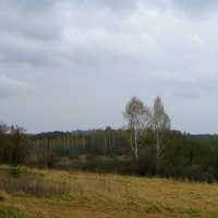 Хмурый апрельский день за городом. :: Борис Митрохин