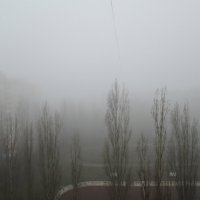 Апрельский туман :: Самохвалова Зинаида 