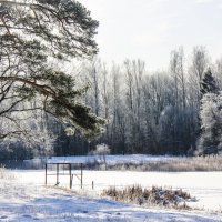 Прогулка по Приоратскому парку :: Алёнка Шапран