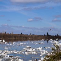 В сибирской дальней стороне :: Галина Кан