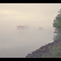 В тумане. :: владимир 