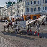 Летний день в городе :: Сергей С