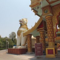 лев Будды при входе в Випсан Глобал Пагода Мумбаи :: maikl falkon 