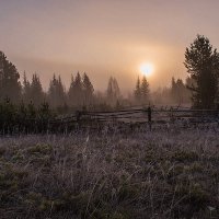 апрель ... рассвет... :: Светлана 