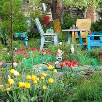 Наш весенний сад!!! :: Светлана Масленникова