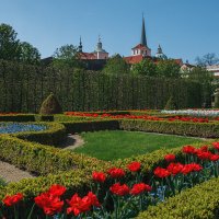 Вальдштейнские сады в Праге :: Алексей Морозов