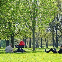 Молодая семья в парке в теплый майский день :: Любовь Изоткина