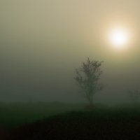 Утренний туман :: Геннадий Катышев