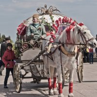 Эх, прокачу :: Евгений Анисимов