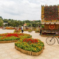 Парк цветов в Далате.Вьетнам. :: Татьяна Калинкина