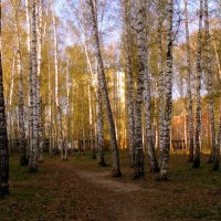 Вечереет. :: Мила Бовкун