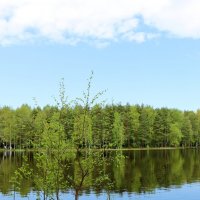 Озеро :: Евгения К
