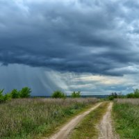 Перед грозой :: Marina Timoveewa